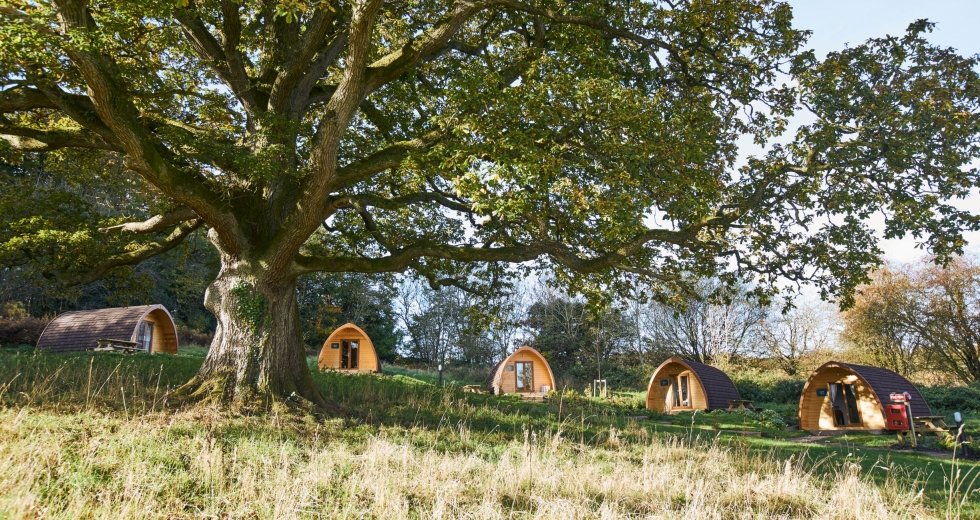 Glamping holidays in Gloucestershire, South West England - Whitemead Forest Park
